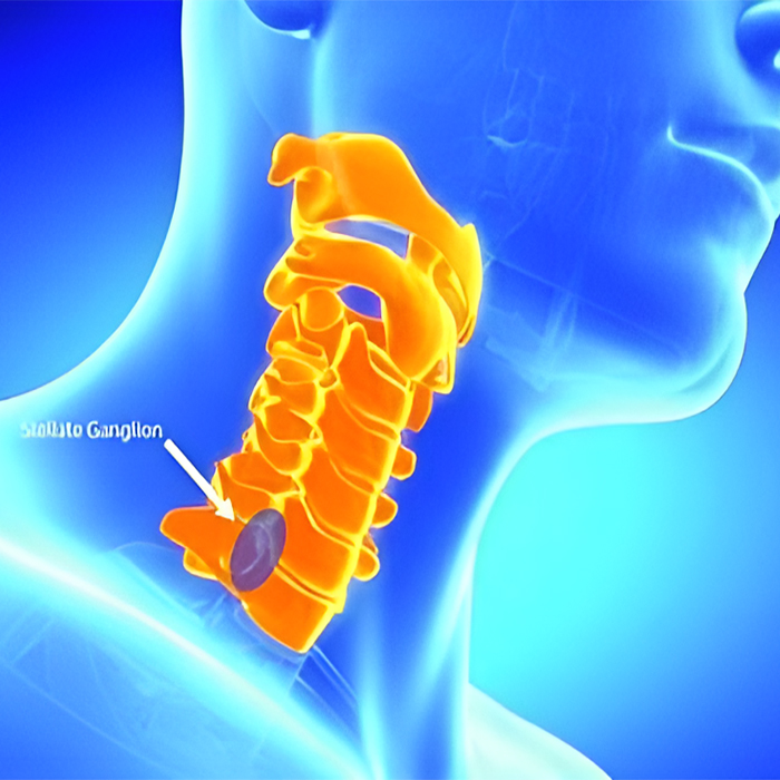 tips for Stellate Ganglion Blocks